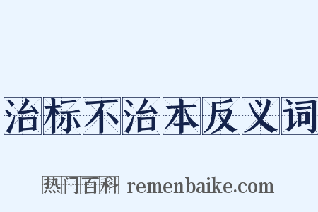 治标不治本反义词是什么意思的图片